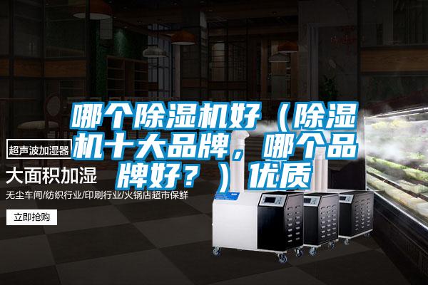 哪個除濕機好（除濕機十大品牌，哪個品牌好？）優質