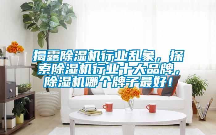 揭露除濕機行業亂象，探索除濕機行業十大品牌，除濕機哪個牌子最好！