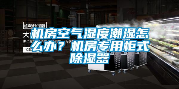 機房空氣濕度潮濕怎么辦？機房專用柜式除濕器