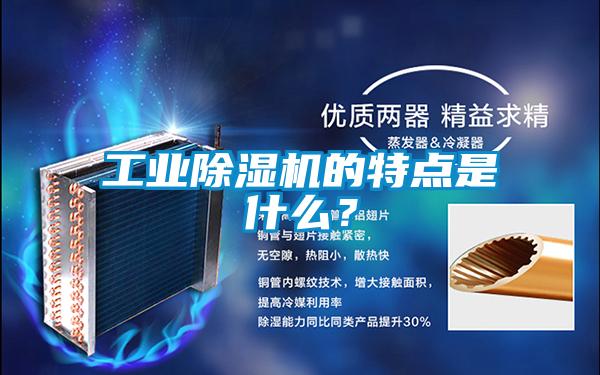 工業(yè)除濕機(jī)的特點(diǎn)是什么？
