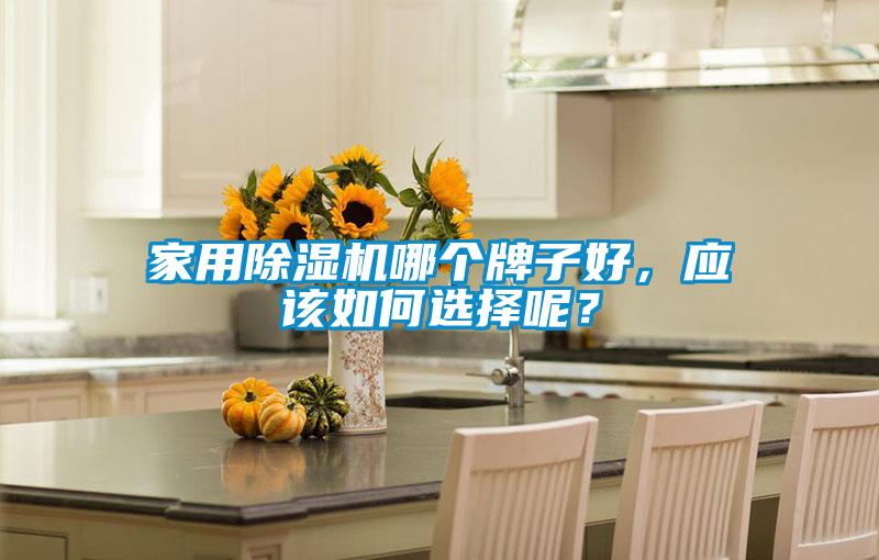 家用除濕機哪個牌子好，應該如何選擇呢？