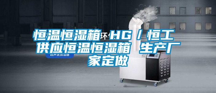 恒溫恒濕箱 HG/恒工 供應恒溫恒濕箱 生產(chǎn)廠家定做