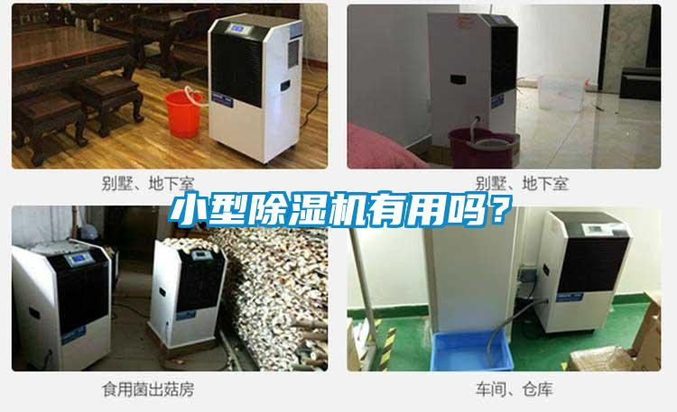 小型除濕機有用嗎？