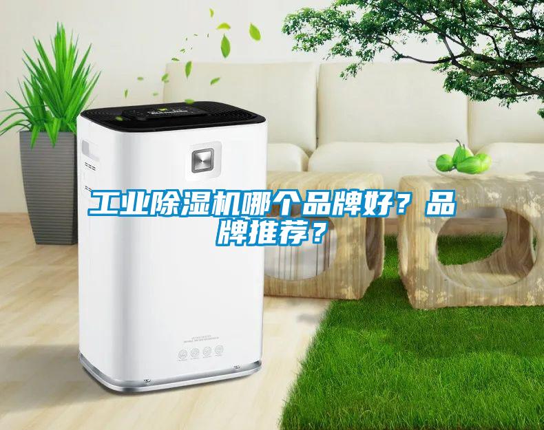 工業除濕機哪個品牌好？品牌推薦？