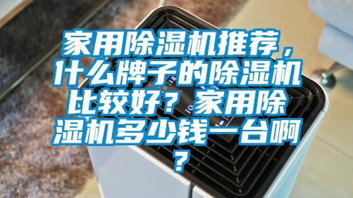 家用除濕機推薦，什么牌子的除濕機比較好？家用除濕機多少錢一臺啊？