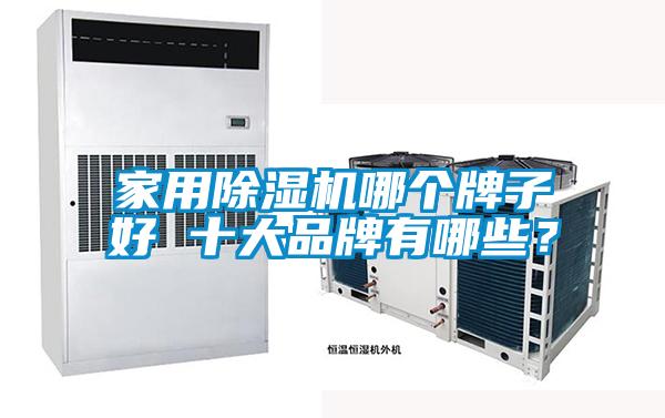 家用除濕機哪個牌子好 十大品牌有哪些?