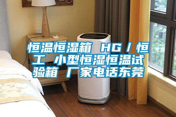 恒溫恒濕箱 HG/恒工 小型恒濕恒溫試驗箱 廠家電話東莞