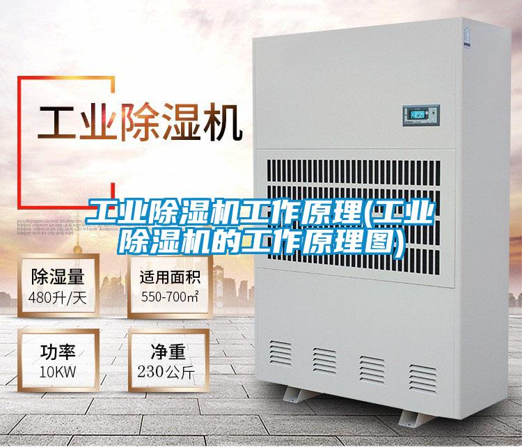 工業除濕機工作原理(工業除濕機的工作原理圖)
