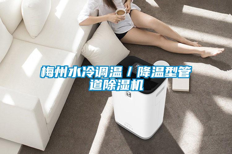 梅州水冷調溫/降溫型管道除濕機