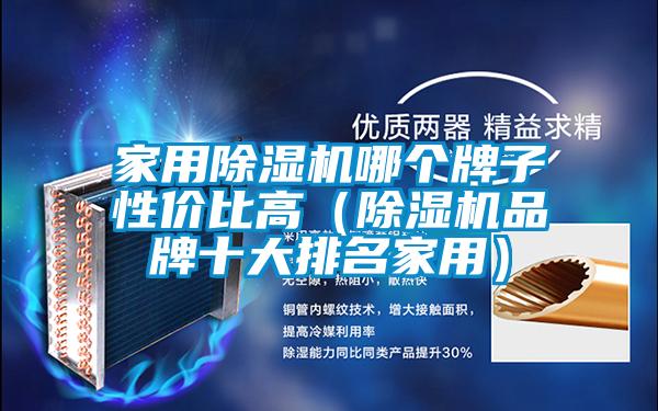 家用除濕機(jī)哪個牌子性價比高(除濕機(jī)品牌十大排名家用)