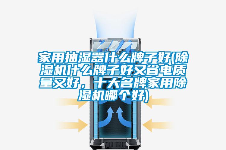 家用抽濕器什么牌子好(除濕機什么牌子好又省電質(zhì)量又好,十大名牌家用除濕機哪個好)
