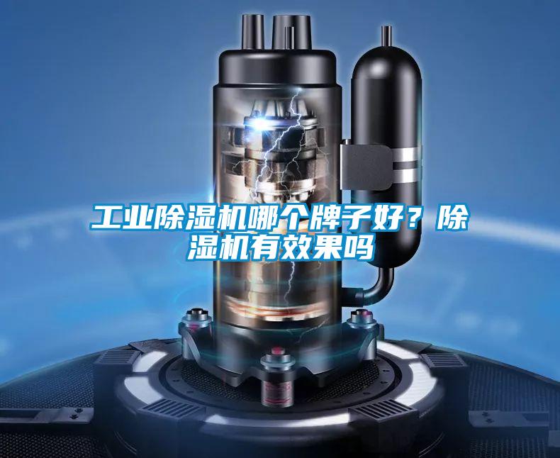 工業(yè)除濕機(jī)哪個牌子好？除濕機(jī)有效果嗎