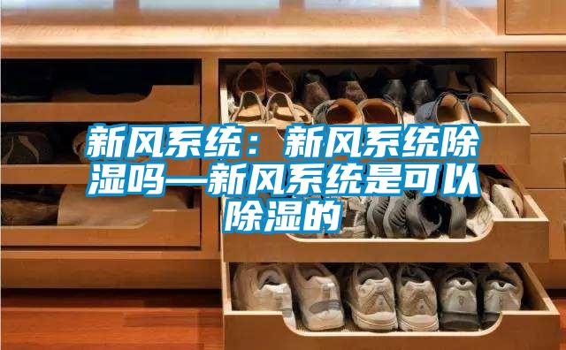 新風系統(tǒng):新風系統(tǒng)除濕嗎—新風系統(tǒng)是可以除濕的