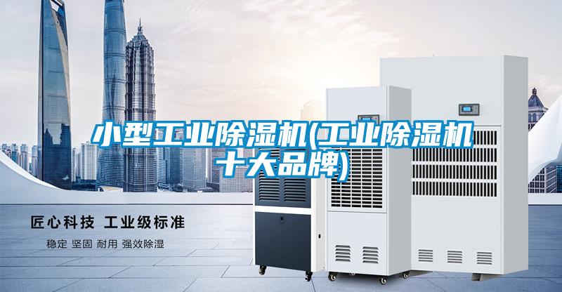 小型工業(yè)除濕機(工業(yè)除濕機十大品牌)