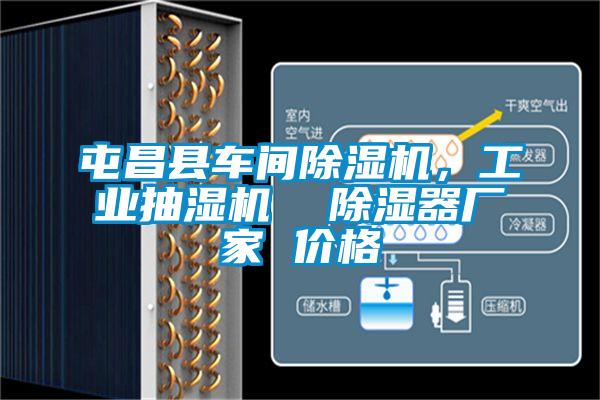屯昌縣車間除濕機，工業抽濕機  除濕器廠家 價格
