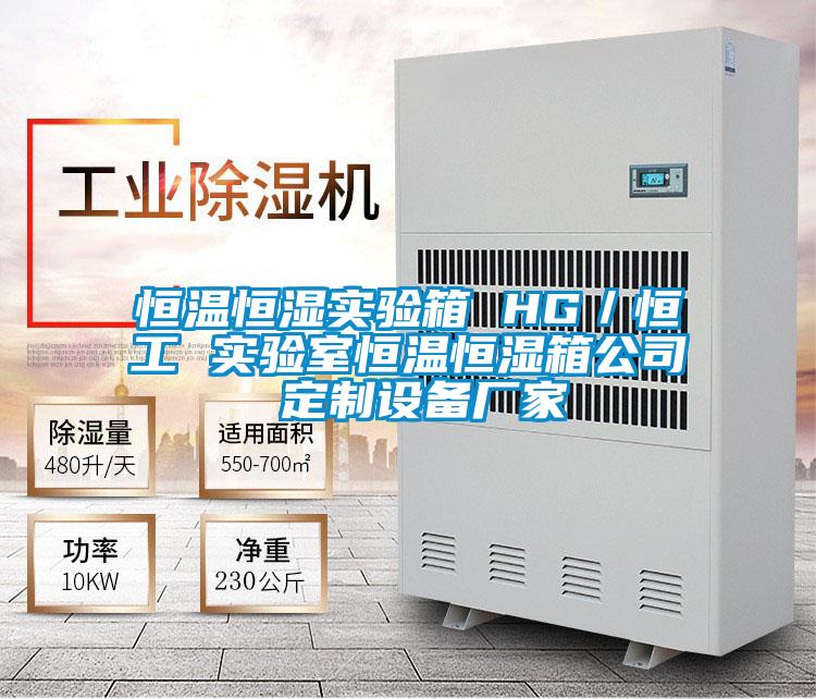 恒溫恒濕實驗箱 HG/恒工 實驗室恒溫恒濕箱公司 定制設備廠家