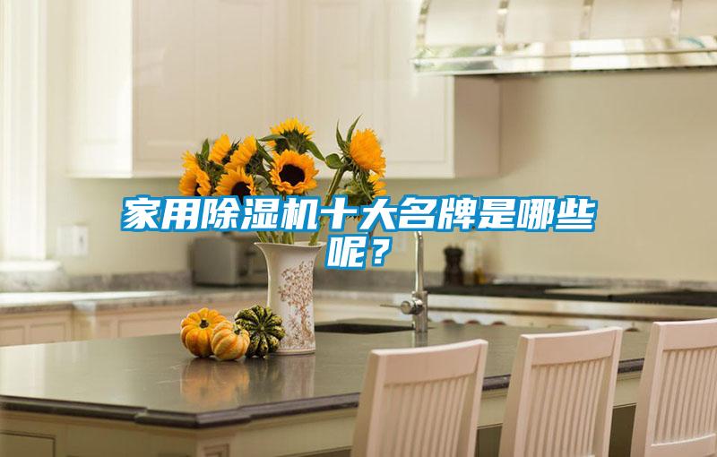 家用除濕機十大名牌是哪些呢？