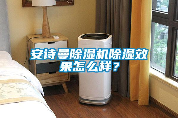 安詩曼除濕機除濕效果怎么樣？