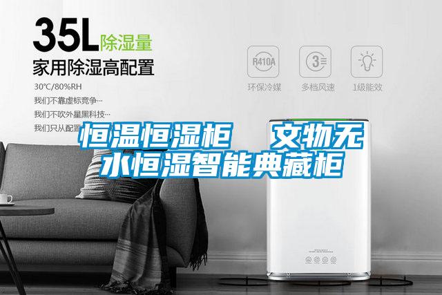 恒溫恒濕柜 文物無水恒濕智能典藏柜