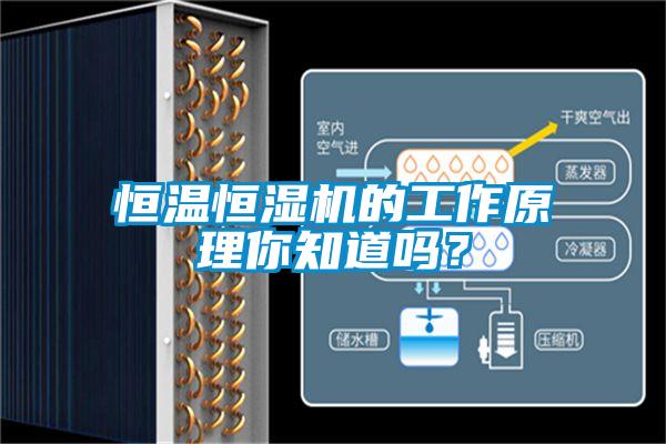 恒溫恒濕機(jī)的工作原理你知道嗎?