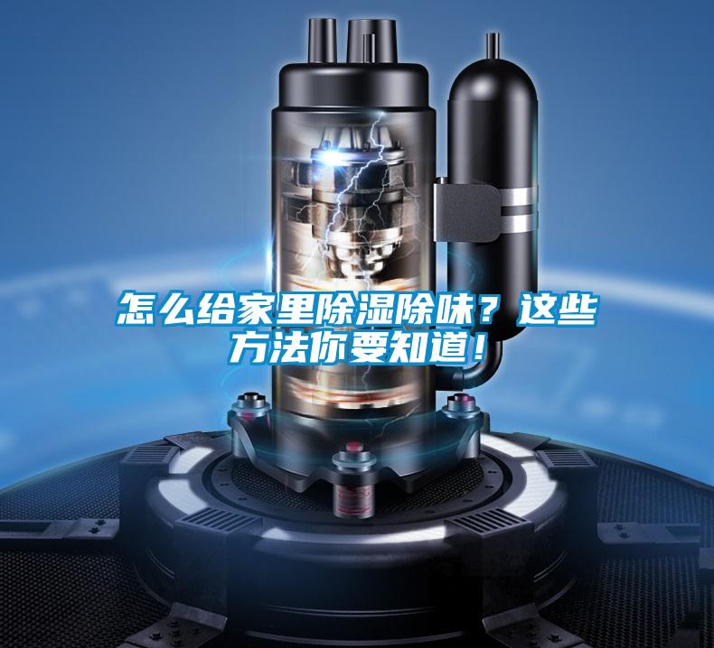 怎么給家里除濕除味?這些方法你要知道!