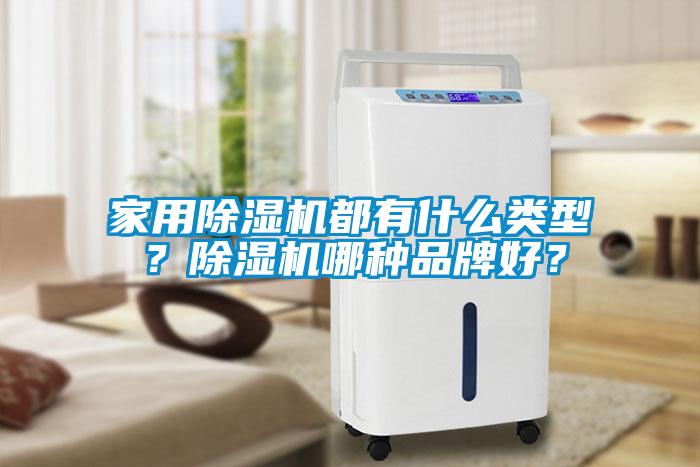 家用除濕機(jī)都有什么類型?除濕機(jī)哪種品牌好?