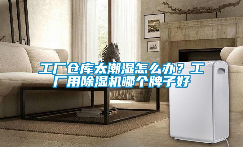 工廠倉庫太潮濕怎么辦?工廠用除濕機哪個牌子好