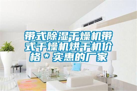 帶式除濕干燥機(jī)帶式干燥機(jī)烘干機(jī)價格*實(shí)惠的廠家