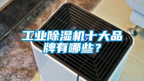 工業(yè)除濕機十大品牌有哪些？