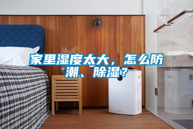 家里濕度太大，怎么防潮、除濕？