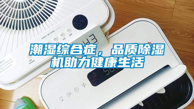 潮濕綜合癥，品質除濕機助力健康生活