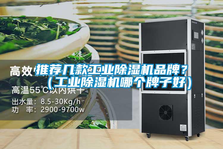 推薦幾款工業除濕機品牌?(工業除濕機哪個牌子好)