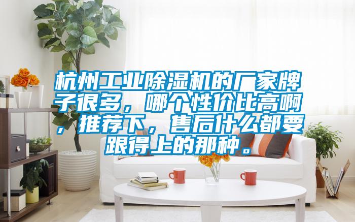 杭州工業(yè)除濕機(jī)的廠家牌子很多，哪個(gè)性價(jià)比高啊，推薦下，售后什么都要跟得上的那種。