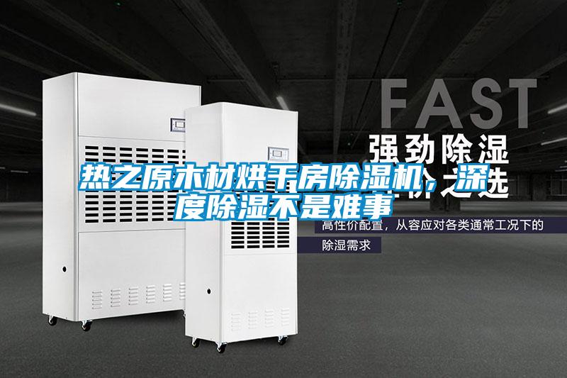 熱之原木材烘干房除濕機，深度除濕不是難事