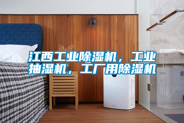 江西工業除濕機，工業抽濕機，工廠用除濕機