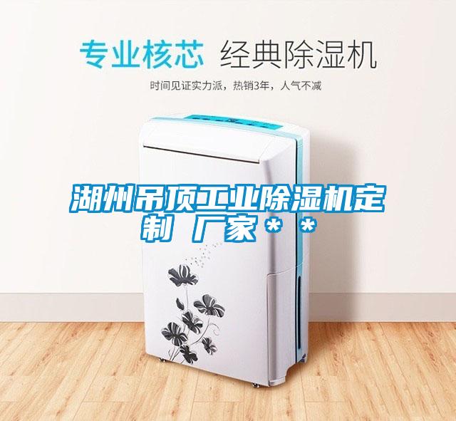 湖州吊頂工業除濕機定制 廠家**