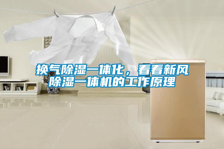 換氣除濕一體化,看看新風(fēng)除濕一體機(jī)的工作原理