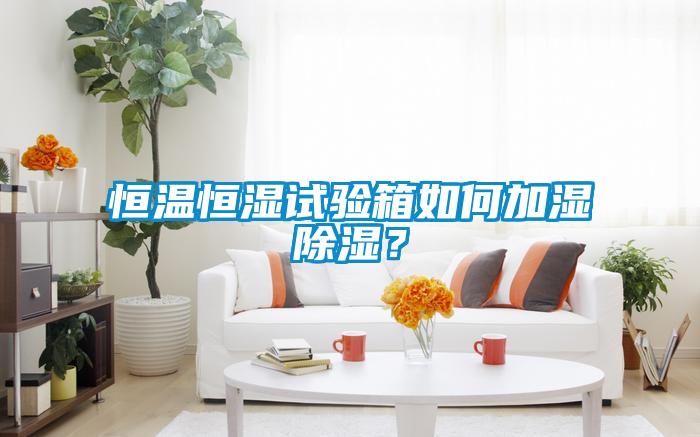 恒溫恒濕試驗(yàn)箱如何加濕除濕?