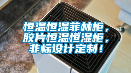 恒溫恒濕菲林柜,膠片恒溫恒濕柜,非標(biāo)設(shè)計定制!