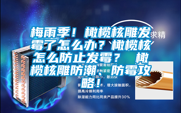梅雨季!橄欖核雕發霉了怎么辦?橄欖核怎么防止發霉? 橄欖核雕防潮、防霉攻略!