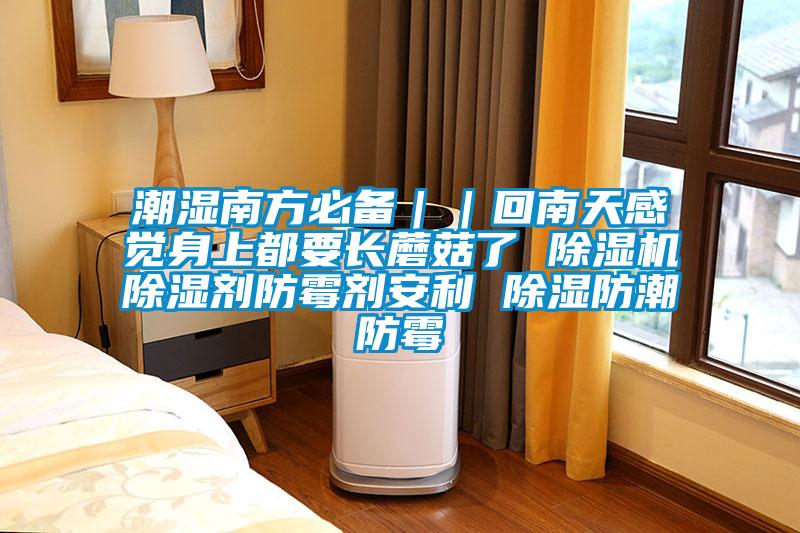 潮濕南方必備||回南天感覺身上都要長蘑菇了 除濕機除濕劑防霉劑安利 除濕防潮防霉