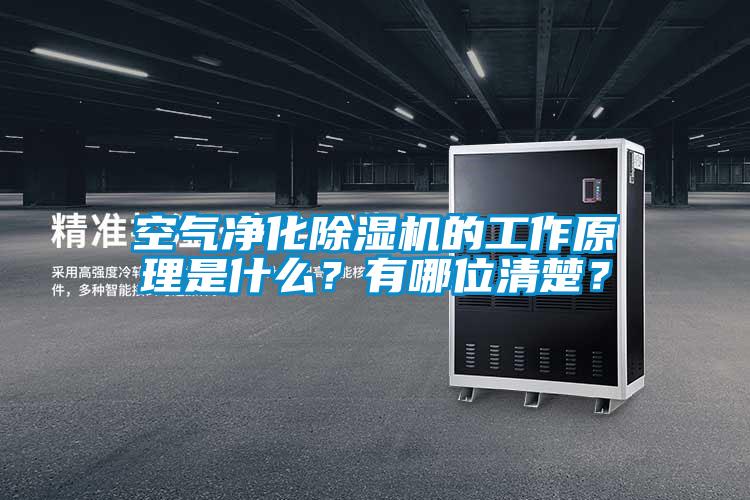 空氣凈化除濕機(jī)的工作原理是什么？有哪位清楚？