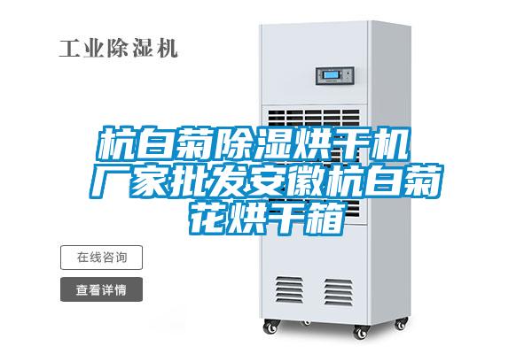 杭白菊除濕烘干機 廠家批發安徽杭白菊花烘干箱