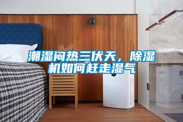 潮濕悶熱三伏天，除濕機如何趕走濕氣