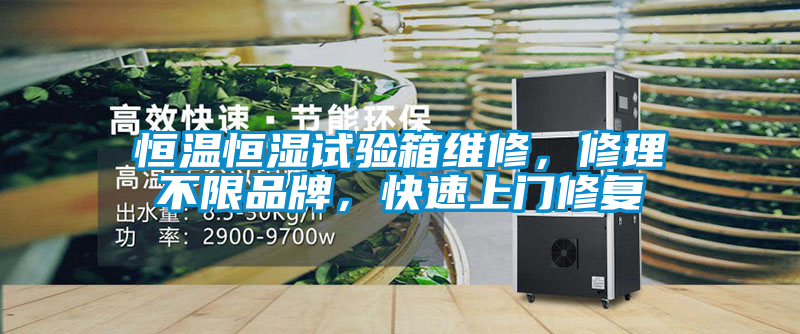 恒溫恒濕試驗箱維修,修理不限品牌,快速上門修復