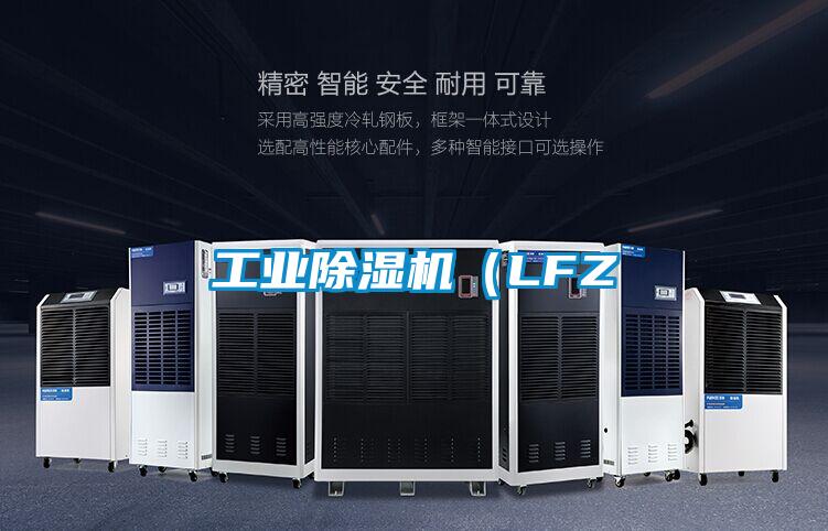 工業(yè)除濕機(LFZ