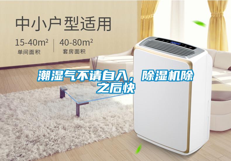 潮濕氣不請自入,除濕機除之后快