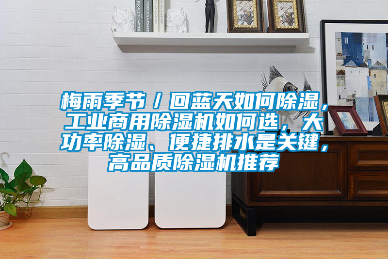 梅雨季節/回藍天如何除濕,工業商用除濕機如何選,大功率除濕、便捷排水是關鍵,高品質除濕機推薦