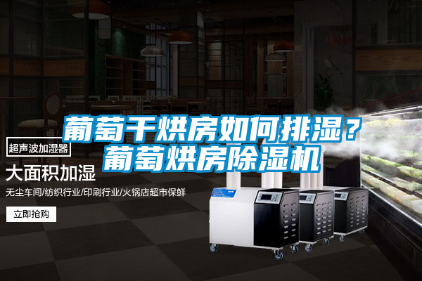 葡萄干烘房如何排濕?葡萄烘房除濕機