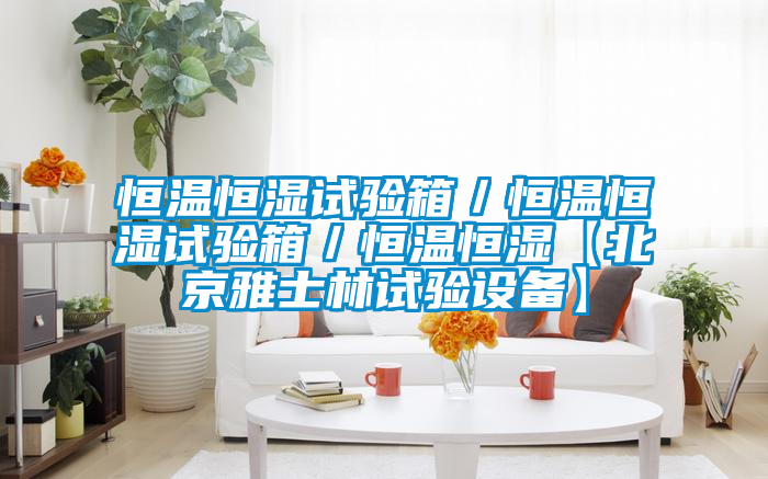 恒溫恒濕試驗箱/恒溫恒濕試驗箱/恒溫恒濕【北京雅士林試驗設備】